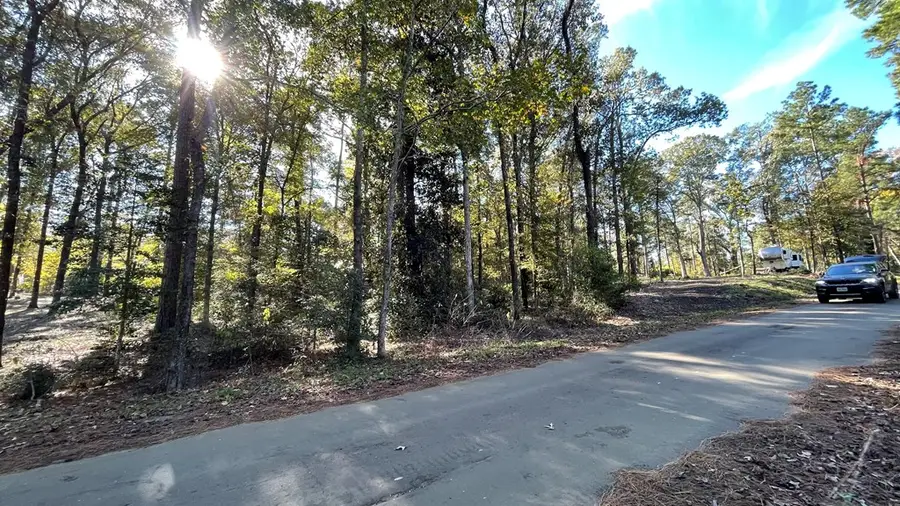 110 Pinecone Lane, Hemphill, TX 75948 - #3