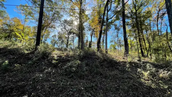 82 River Oaks Drive, Hemphill, TX 75948