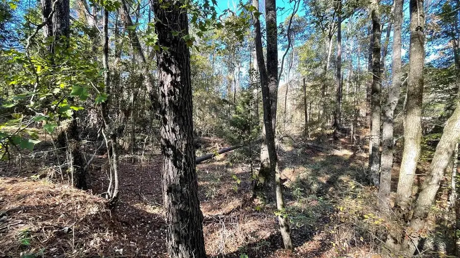 6032866 River Oaks Drive, Hemphill, TX 75948 - #2