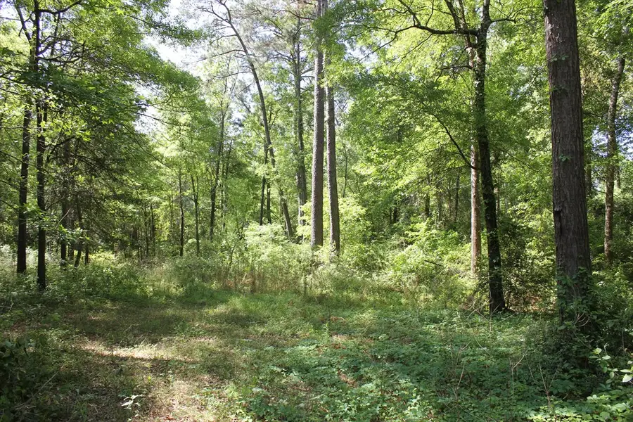 1013 Thigpen Road, Pollok, TX 75969 - #3