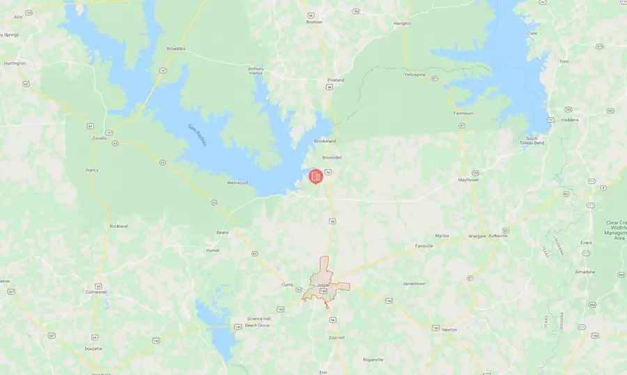 100 Deergrass Drive, Brookeland, TX 75931 - #3