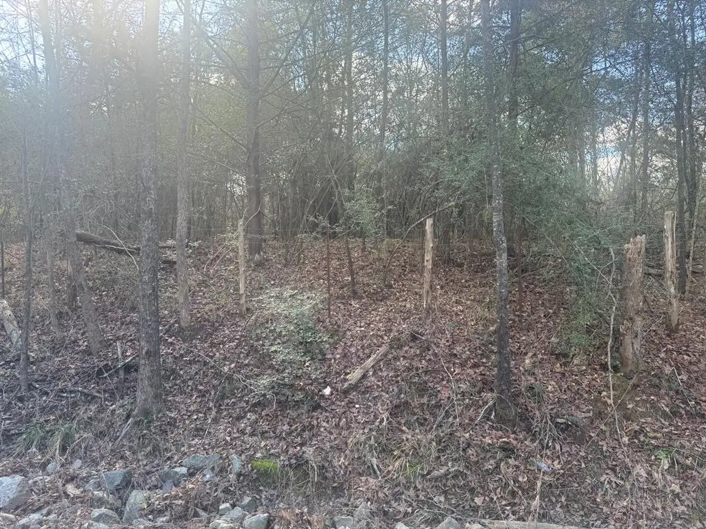 TBD County Road 4789, Timpson, TX 75975 - #1