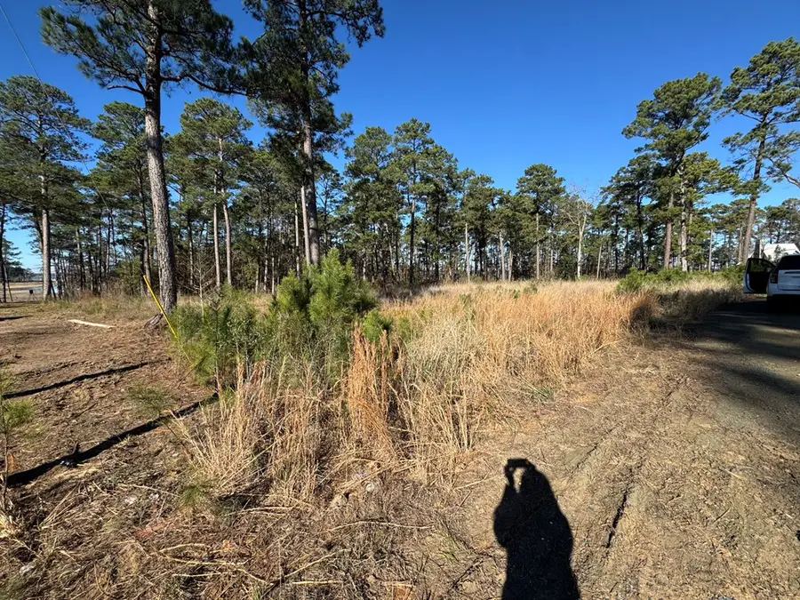 020 Private Rd 6028, Brookeland, TX 75931 - #3