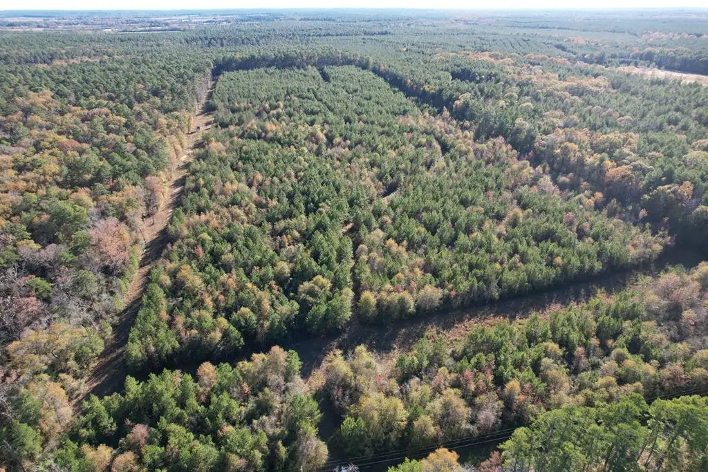 1729 Neal Road, Huntington, TX 75949 - #1