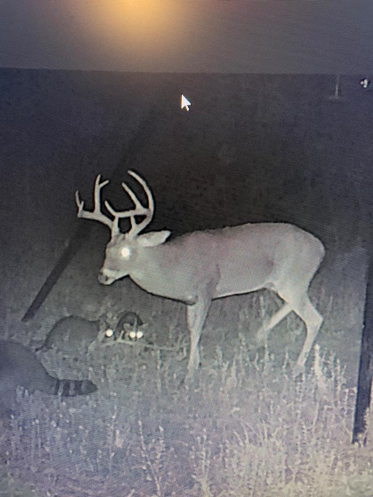 1729 Neal Road, Huntington, TX 75949 - #3