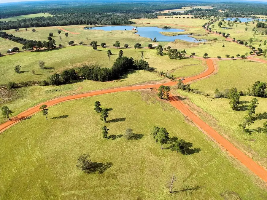 Lot 88 Lakeland Ranch, Hillister, TX 77624 - #2