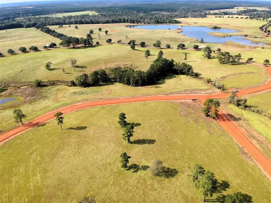 Lot 88 Lakeland Ranch, Hillister, TX 77624 - #3