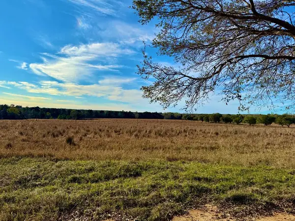 Lot 103 Lake, Hillister, TX 77624