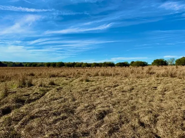 Lot 103 Lake, Hillister, TX 77624 - #2