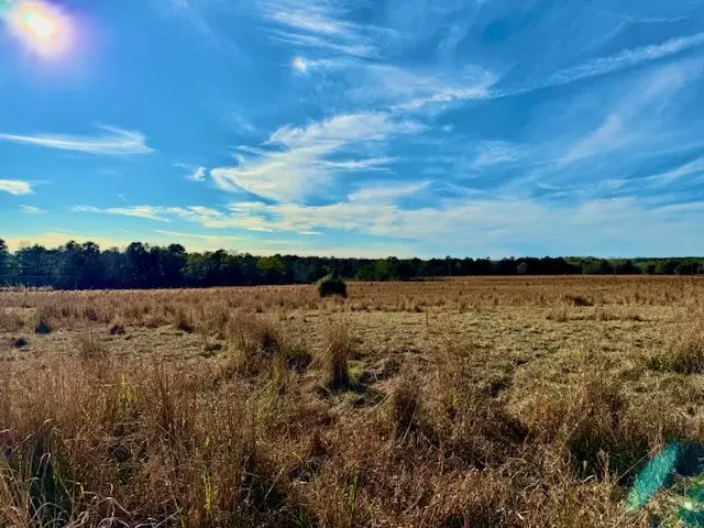 Lot 103 Lake, Hillister, TX 77624 - #3