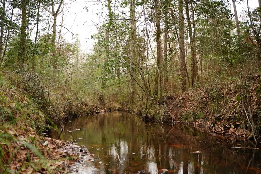 TBD Fm 418, Kountze, TX 77625 - #3