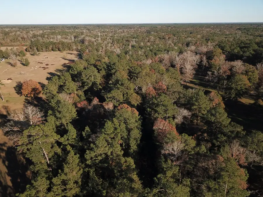 15121 Highway 87 N, Call, TX 75933 - #3