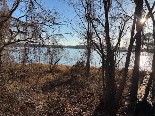 345 Masontown Rd, Hemphill, TX 75948 - #3