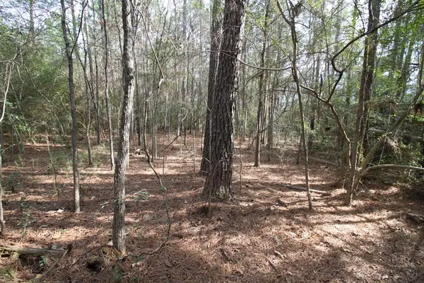 R 122777 Jape Massingill Lane, Diboll, TX 75941