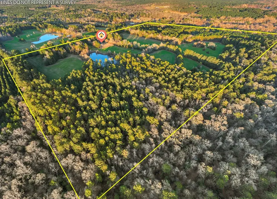 393 County Road 4220, Bronson, TX 75930 - #3