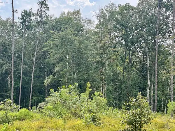 3855 Fm 420, Kountze, TX 77625