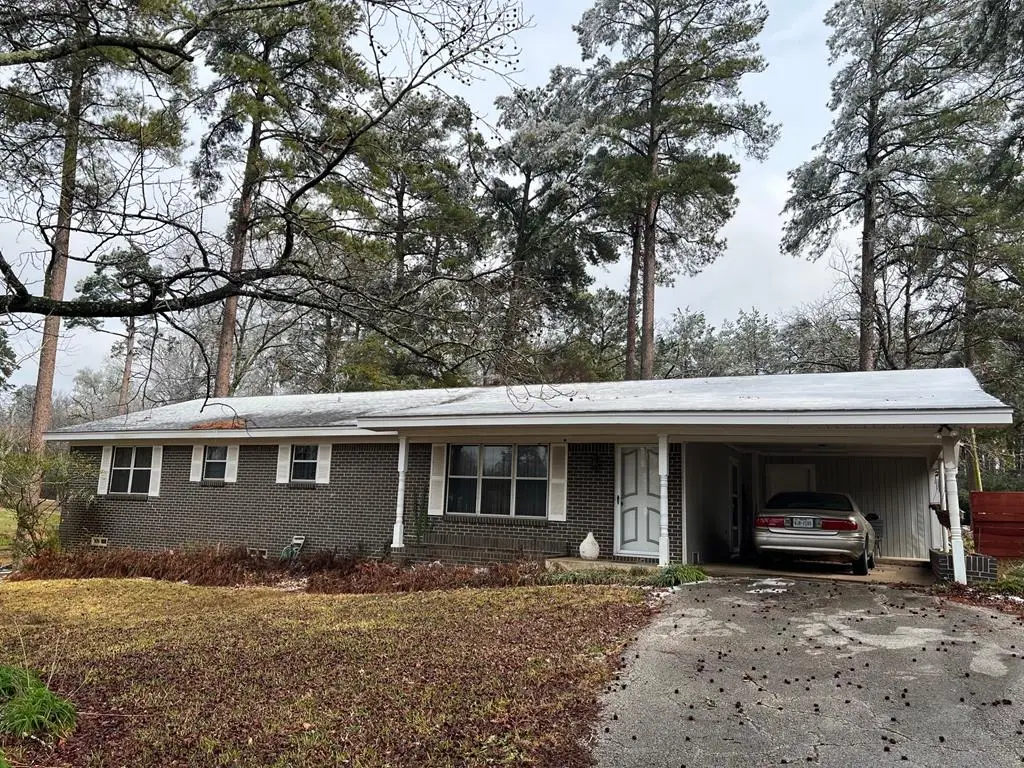 358 County Road 1430, Center, TX 75935 - #1