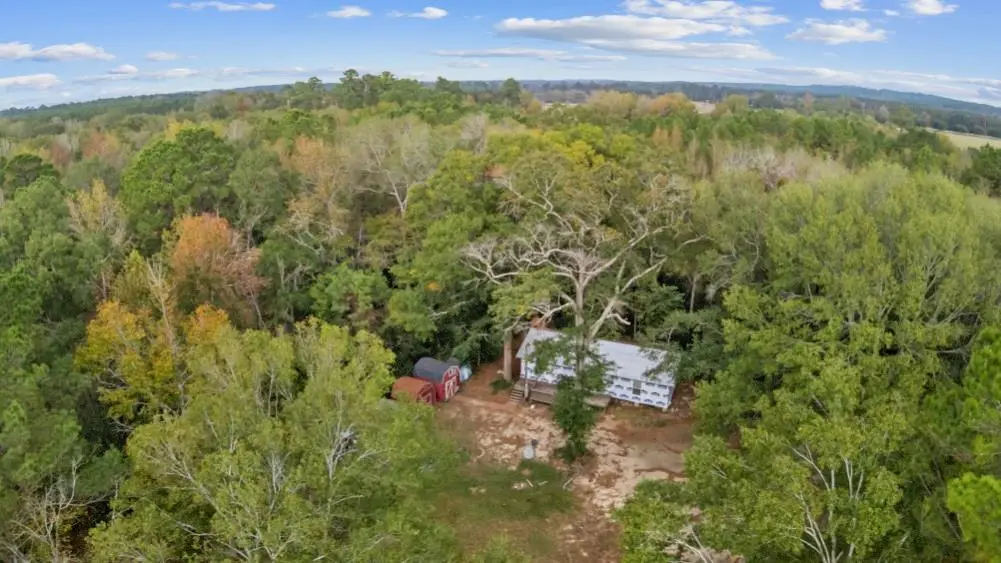 1556 Fm 254 S, Jasper, TX 75951 - #1