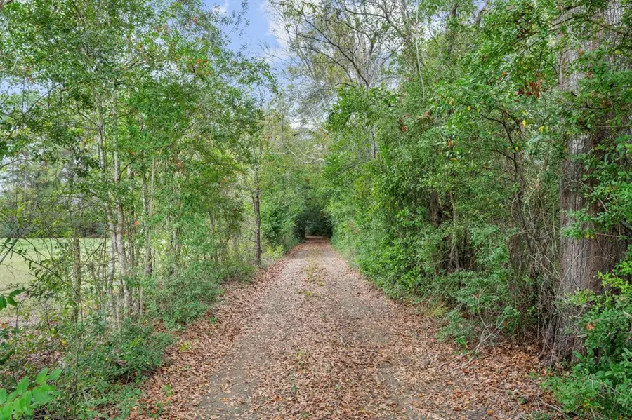 1556 Fm 254 S, Jasper, TX 75951 - #2