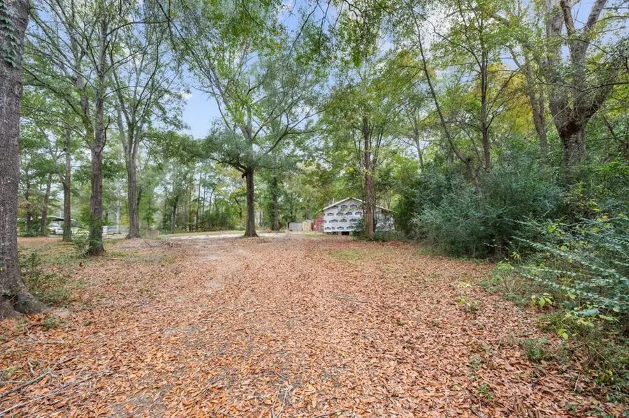 1556 Fm 254 S, Jasper, TX 75951 - #3