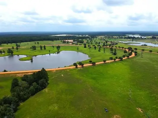 Lot 234 Lakeland Ranch, Hillister, TX 77624 - #2