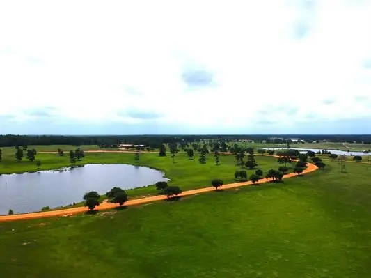 Lot 234 Lakeland Ranch, Hillister, TX 77624 - #3