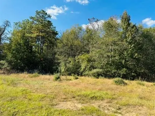 Lot 82 Lakeland Ranch, Hillister, TX 77624