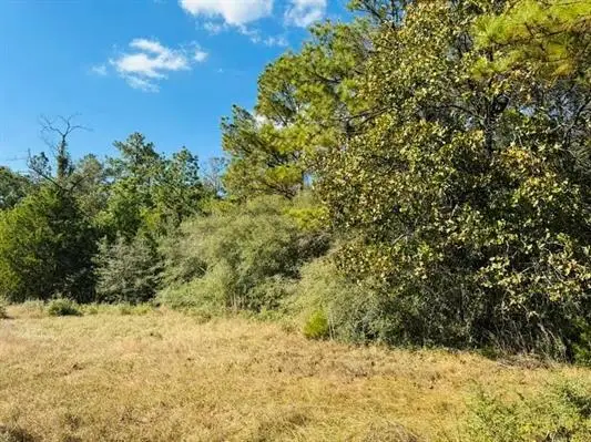 Lot 82 Lakeland Ranch, Hillister, TX 77624 - #2