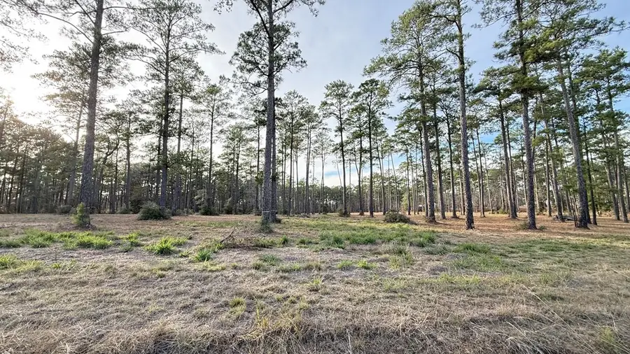 775 Private Rd 6026, Brookeland, TX 75931 - #2