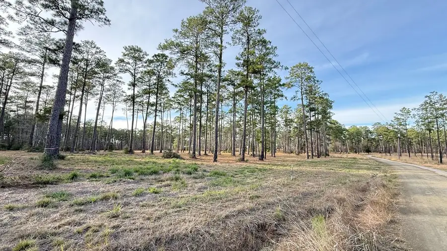 775 Private Rd 6026, Brookeland, TX 75931 - #3