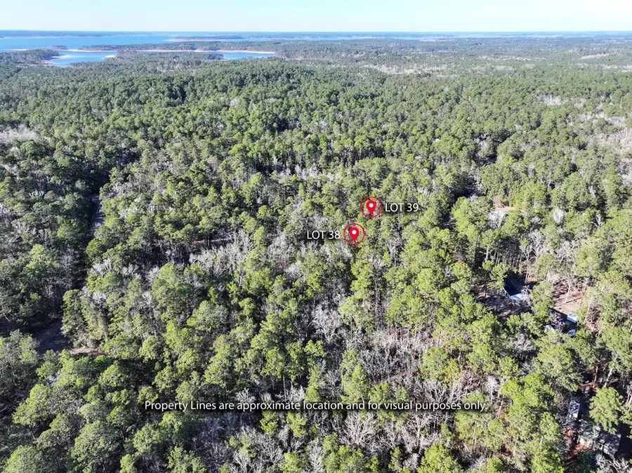 Lot 38 & 39 Dingy Lane, Brookeland, TX 75931 - #2