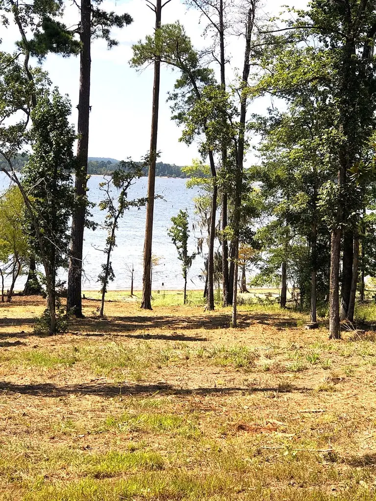 350 Cr 364, Broaddus, TX 75929 - #3