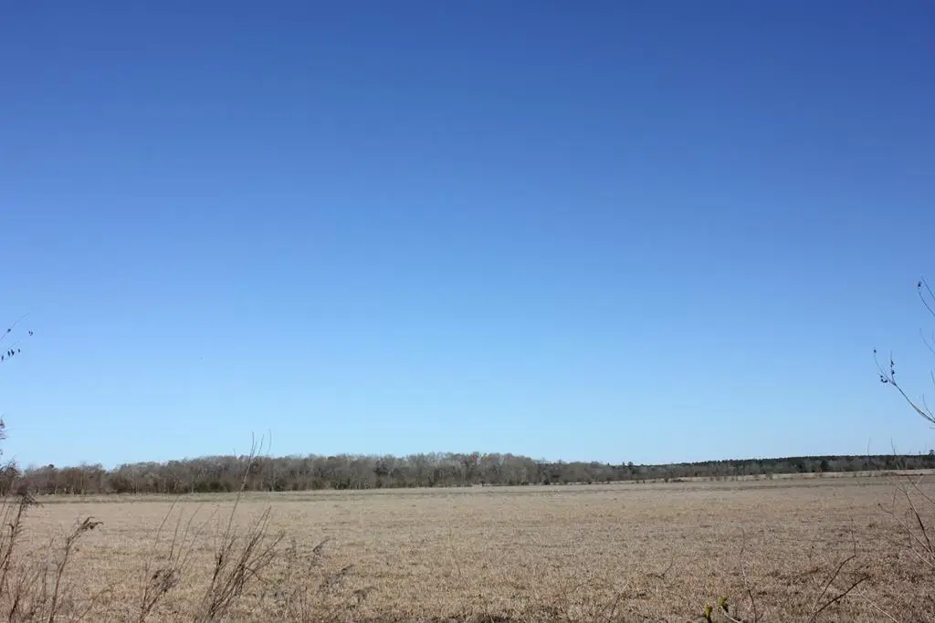 PID 38061 Cotton Thompson Road, Lufkin, TX 75901 - #1