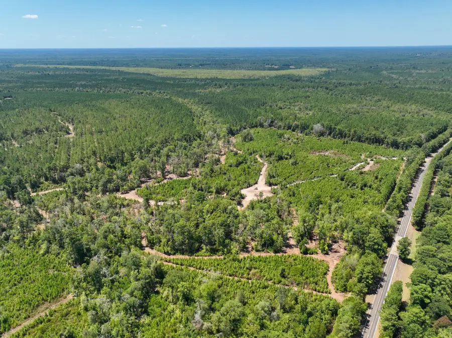 18485 Fm 1013, Spurger, TX 77660 - #3