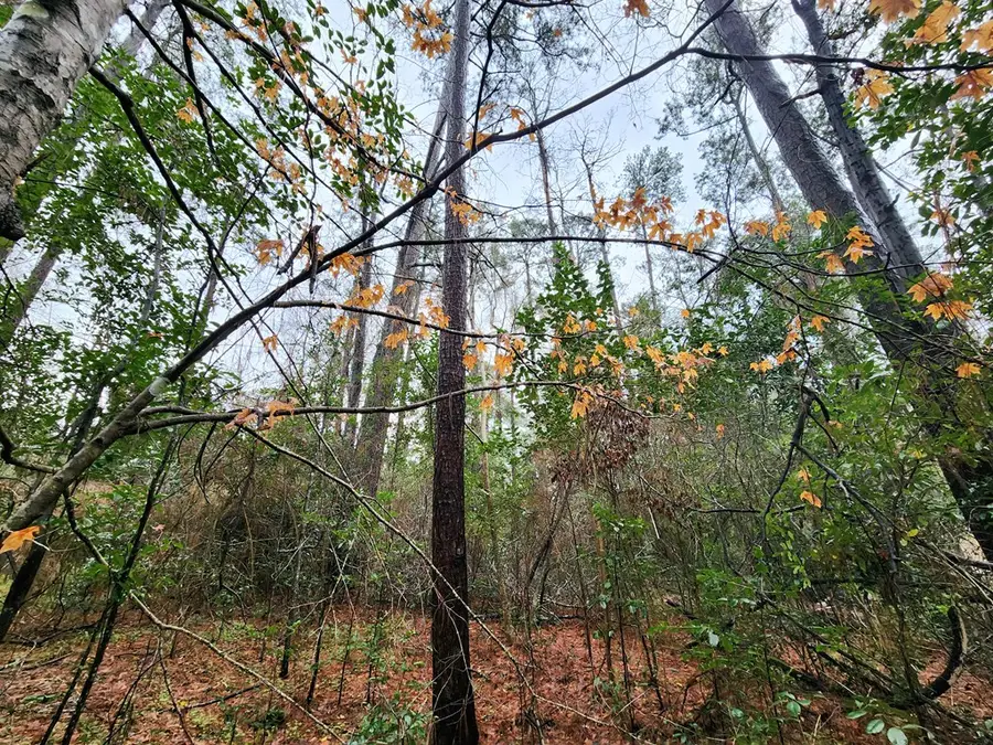 ID 55751 3rd Street, Jasper, TX 75951 - #3