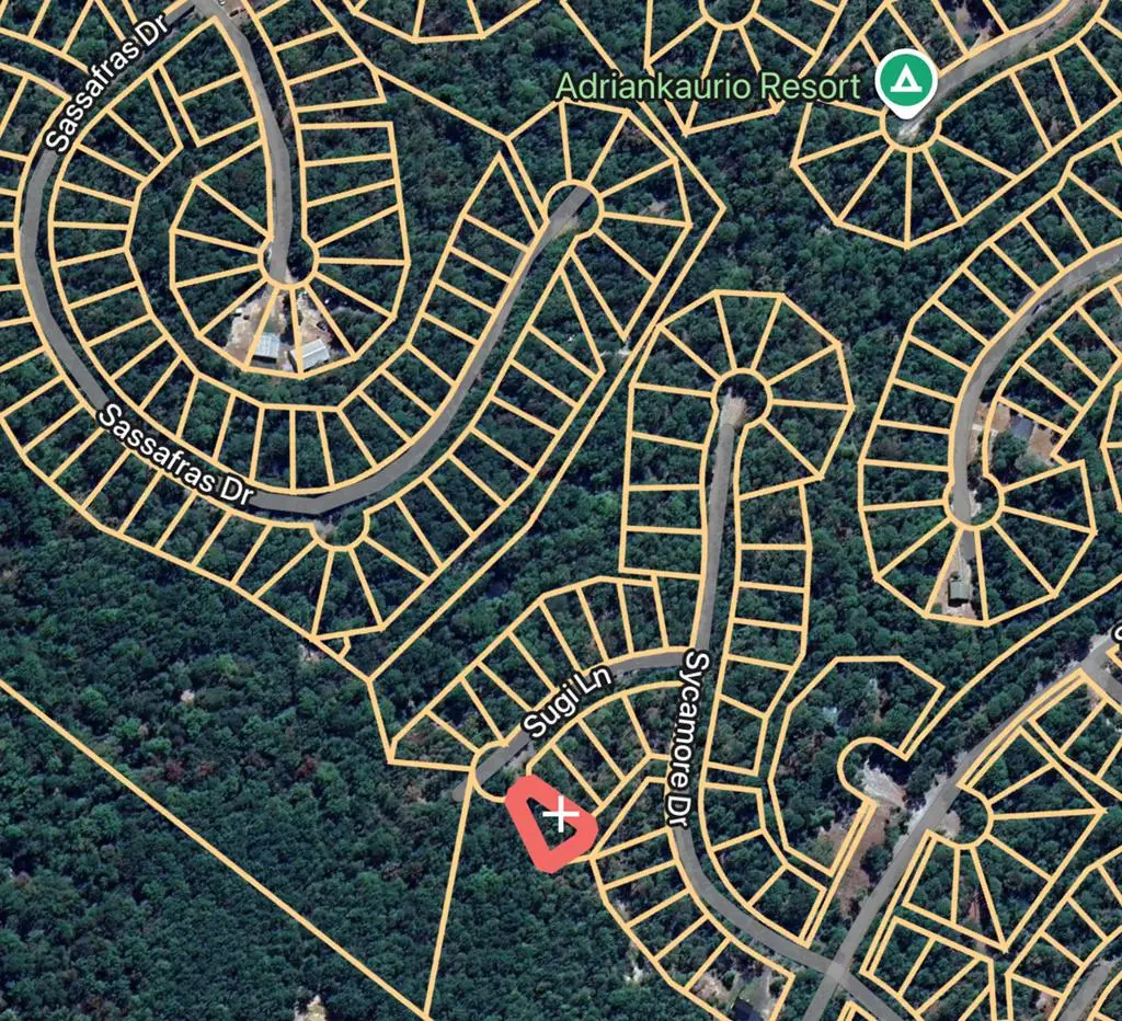 161 Sugi Lane, Brookeland, TX 75931 - #1