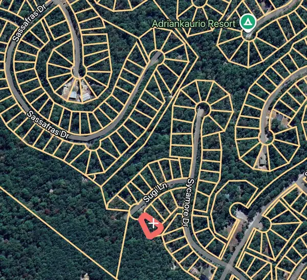 161 Sugi Lane, Brookeland, TX 75931