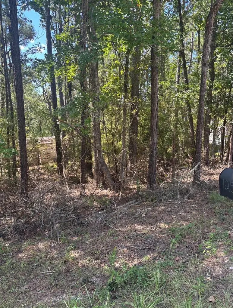 122 Oriole Dr, Brookeland, TX 75931 - #2