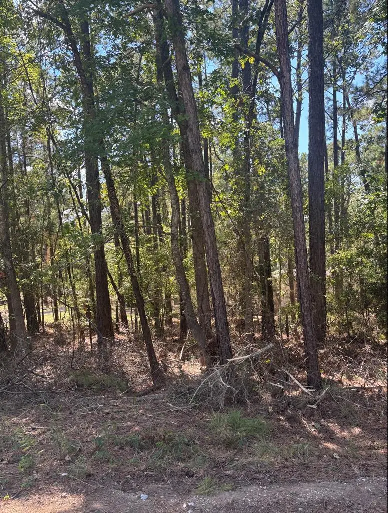 122 Oriole Dr, Brookeland, TX 75931 - #3