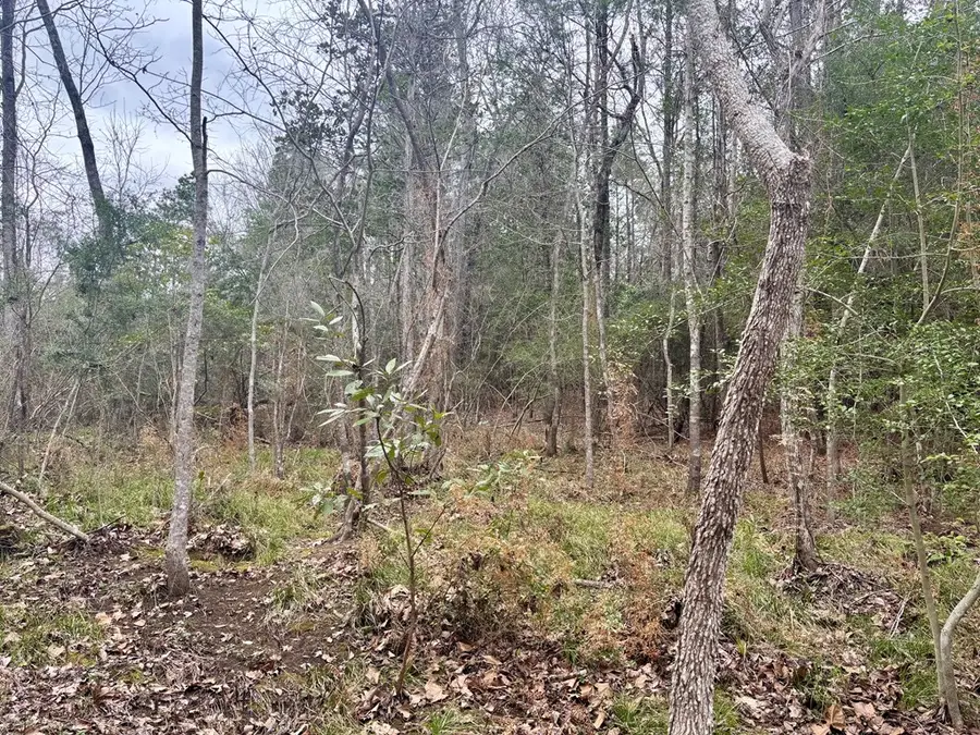 8895 Us Highway 96, Jasper, TX 75951 - #3