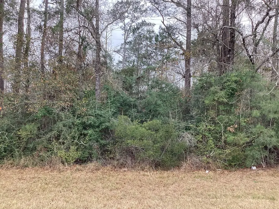 16332 Highway 96 S, Kirbyville, TX 75956 - #2