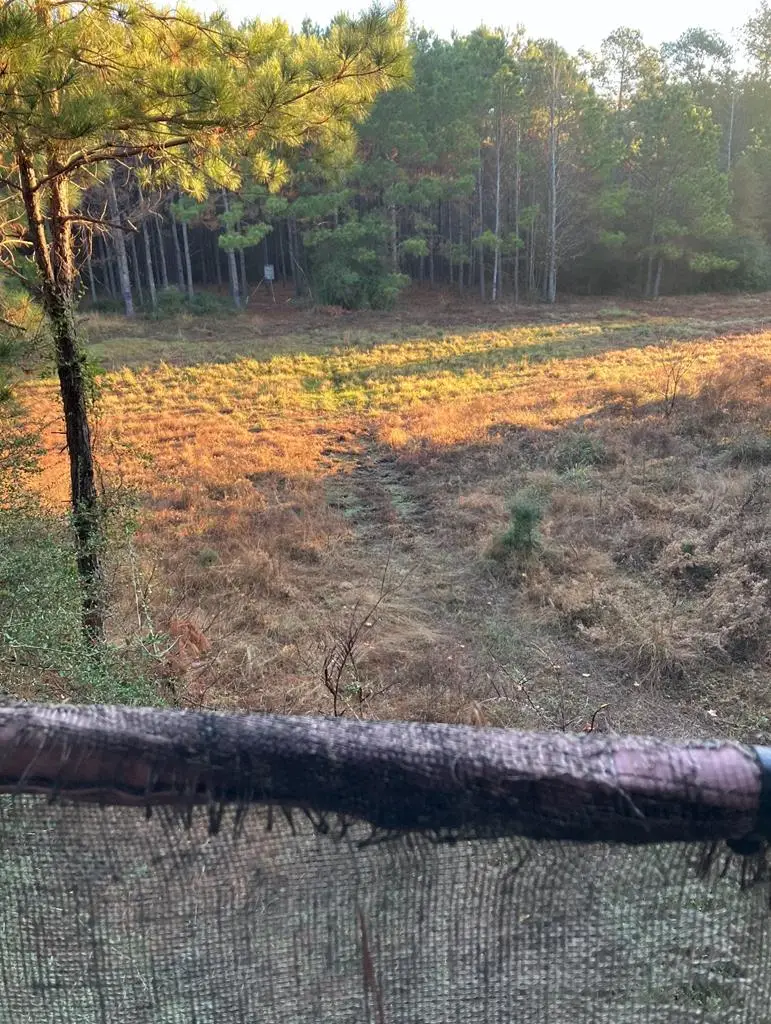 Tract 21 Kickapoo Road, Groveton, TX 75845 - #1