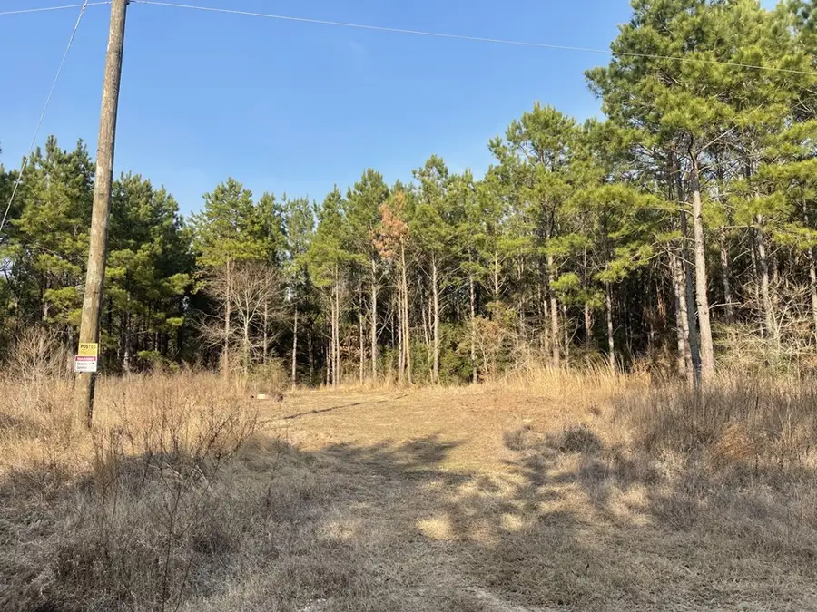 Tract 21 Kickapoo Road, Groveton, TX 75845 - #2