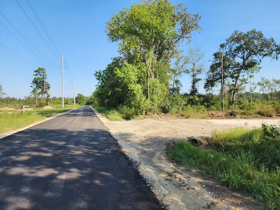 70.96 AC +/- Old Sour Lake Road, Sour Lake, TX 77659 - #2