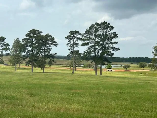 2622 Lakeland Ranch, Hillister, TX 77624 - #1