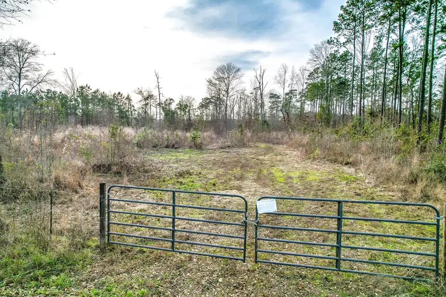 PID 27357 Old Fm 705, Broaddus, TX 75929 - #2