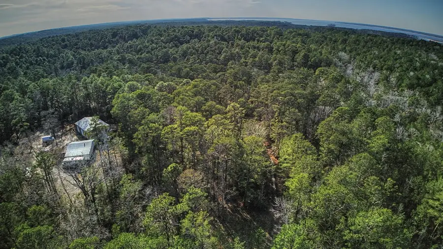 179 Sassafras, Brookeland, TX 75931 - #2