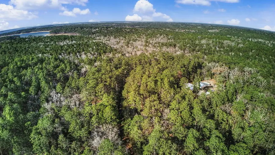 191 Sassafras, Brookeland, TX 75931 - #2