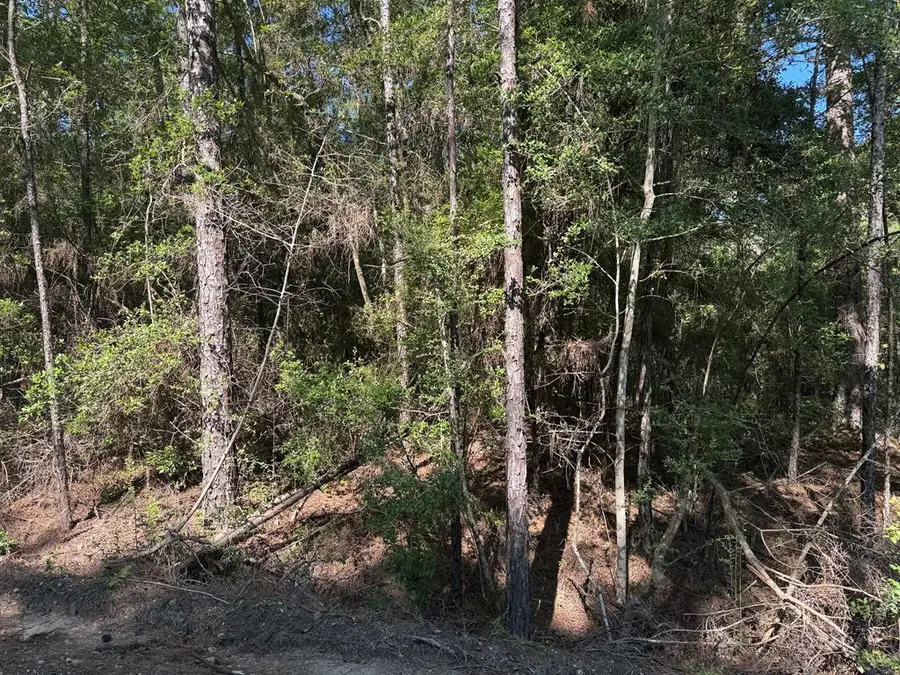 171 Sassafras, Brookeland, TX 75931 - #2