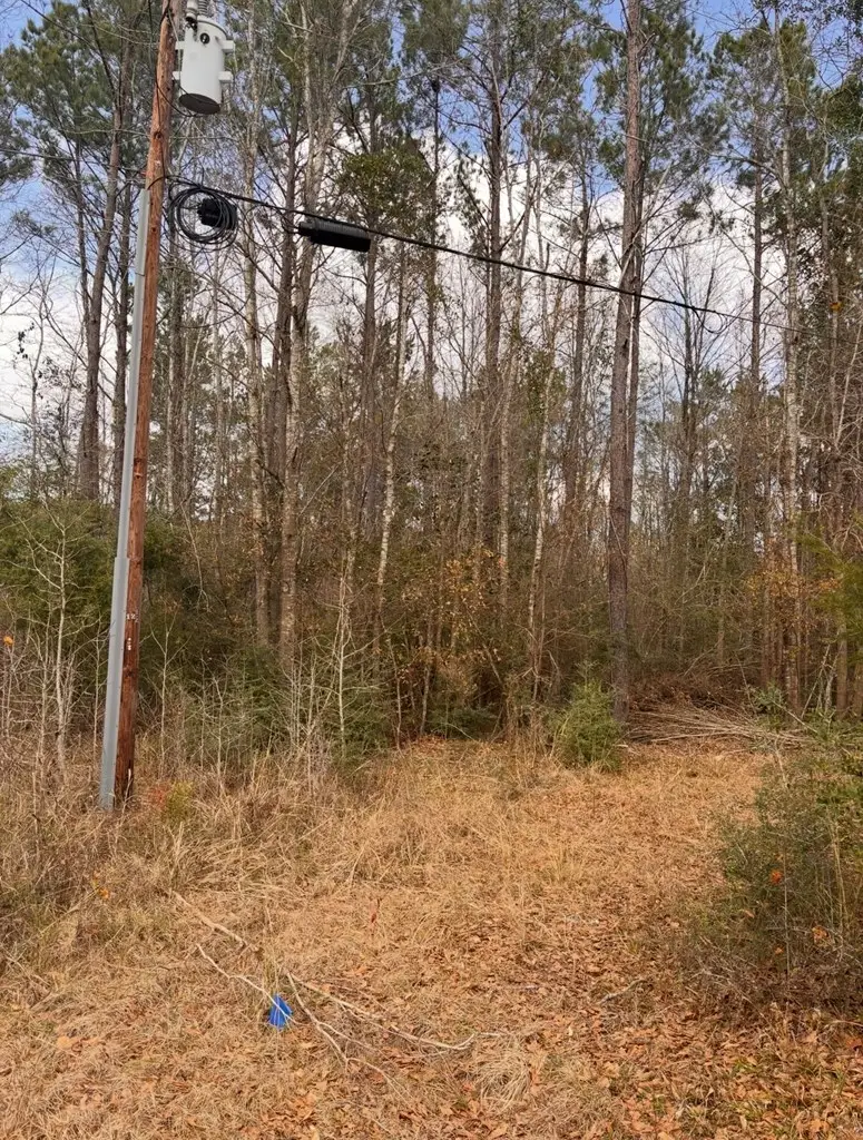 15.45 AC County Road 434, Jasper, TX 75951 - #2